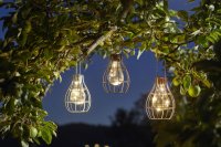 Smart Solar Decorative Eureka! Firefly Lantern - Assorted