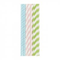 Duni Recyclable Paper Straws (Pack of 25)