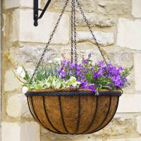 Smart Garden 16" Saxon Hanging Basket