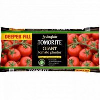 Levington Tomorite Giant Tomato Planter