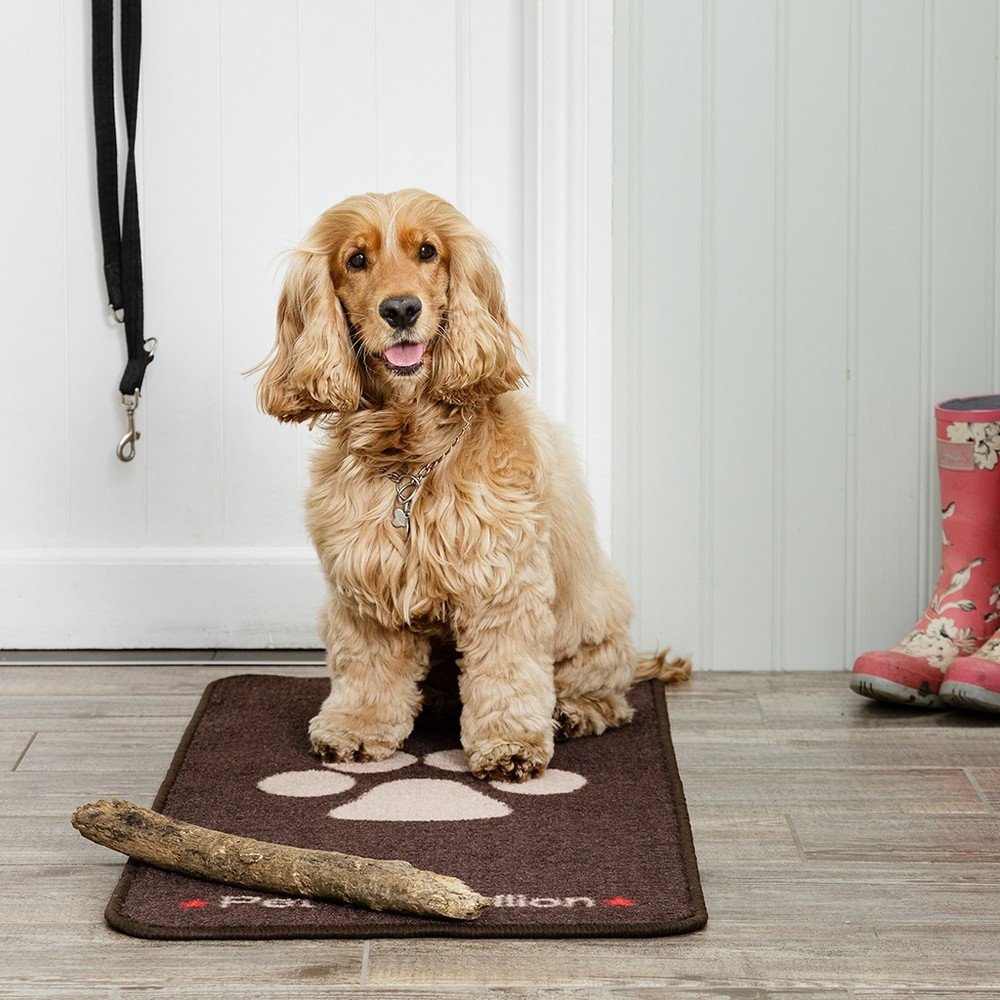 Pet Rebellion Stop Muddy Paws Barrier Rug 45 x 100cm - A at Barnitts Online  Store, UK