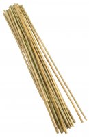 Smart Garden Bamboo Canes 60cm Bundle of 20