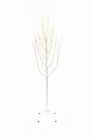 Jingles Birch Angel Tree with 150 LED 1.5M - Warm White