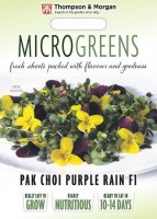 Thompson & Morgan Microgreens Pak Choi Purple Rain F1