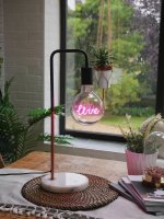 Steepletone LED Filament Bulb - Live