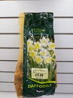 Taylors Narcissus Ice Follies Daffodil Bulbs - 2kg