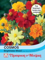 Thompson & Morgan Cosmos 'Brightness Mixed'