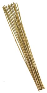 Smart Garden Bamboo Canes 240cm (Bundle of 10)