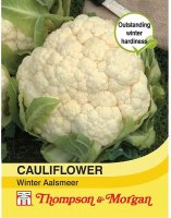 Thompson & Morgan Cauliflower Winter Aalsmeer