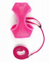 Ancol Soft Cat Harness & Lead - Large