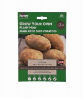 Taylors Cara Main Crop Seed Potatoes - 10 Bulbs