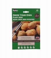 Taylors King Edward Main Crop Seed Potatoes - 10 Bulbs