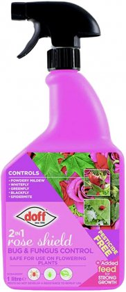 Doff 2 in 1 Rose Shield Bug & Fungus Control - 1 Litre