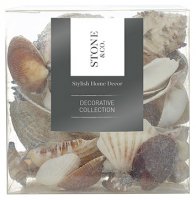 Kelkay Stone & Co. Sea Shells