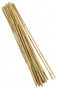 Smart Garden Bamboo Canes - Extra Thick 150cm Bundle of 20