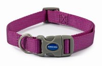 Ancol Adjustable Purple Dog Collar - Size 1-2