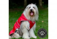 Ancol Stormguard Dog Coat Red - X small