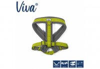 Ancol Viva Padded Harness - Lime 52-71cm