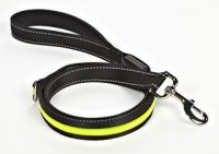 Petface Bright & Safe Reflective Lead