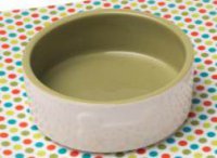 Petface Bone Ceramic Bowl Cream/Green 8" (20cm)
