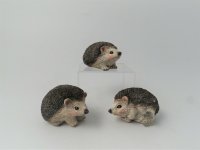 Giftware Trading Hedgehog Decoration- Assorted Designs