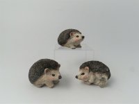 Giftware Trading Hedgehog Decoration - Assorted