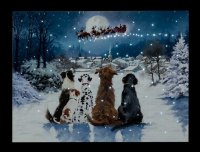 Snowtime Battery Operated Fibre Optic Christmas Dogs Canvas