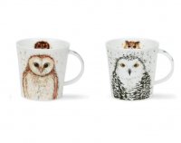 Dunoon Cairngorm Shape Fine China Mug - What A Hoot! Assorted