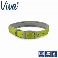 Ancol Padded Lime Dog Collar - Extra Small