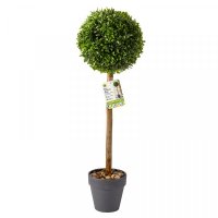Faux Decor Uno Topiary Tree