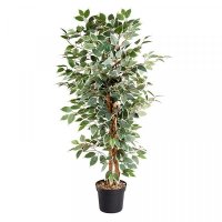 Faux Decor Weeping Fig