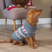 Snow Berry Jumper For Dogs- 30cm
