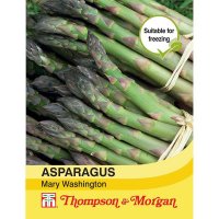 Thompson & Morgan Asparagus Mary Washington