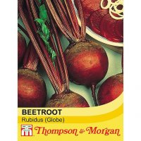 Beetroot 'Rubidus' (Globe)