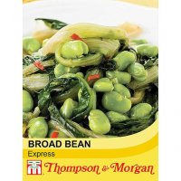 Thompson & Morgan Broad Bean Express