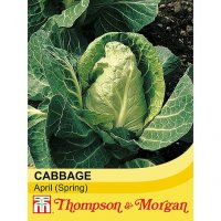 Thompson & Morgan Cabbage (Spring) April