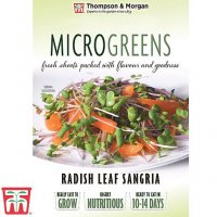 Thompson & Morgan Microgreens Radish (Leaf) Sangria
