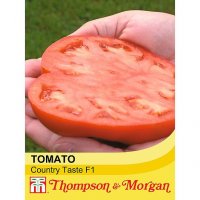 Thompson & Morgan Tomato Country Taste F1 Hybrid