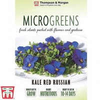 Thompson & Morgan Microgreens Kale Red Russian