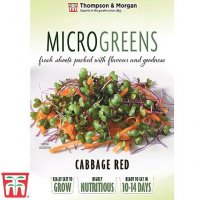 Thompson & Morgan Microgreens Cabbage Red