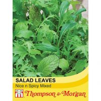 Thompson&Morgan Salad Leaves - Nice n Spicy Mixed
