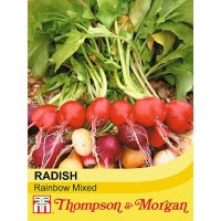 Thompson & Morgan Radish Rainbow Mixed