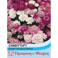 Thompson & Morgan Candytuft Dwarf Fairy Mixed