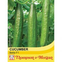 Thompson & Morgan Cucumber Bella