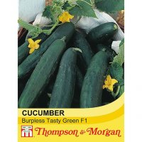 Thompson & Morgan Cucumber Burpless Tasty Green