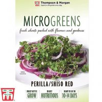 Thompson & Morgan Microgreens Perilla/Shiso Red