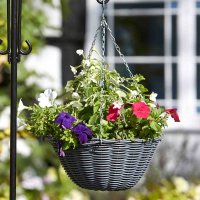 Smart Garden Faux Rattan Hanging Basket 14 Slate