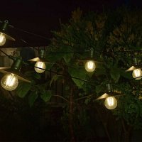 Smart Solar SuperSmart 365 Vivo String Lights (Set of 8)