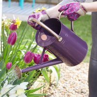 Smart Garden Watering Can 4.5lt Violet