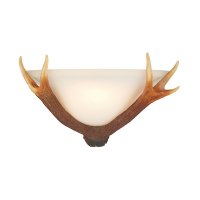 David Hunt Antler Wall Washer with S067 Glass
